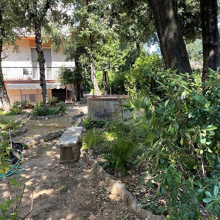 Giardino Sud - A Pochi Passi Dal Mare Apartment ซานวินเชนโซ ภายนอก รูปภาพ
