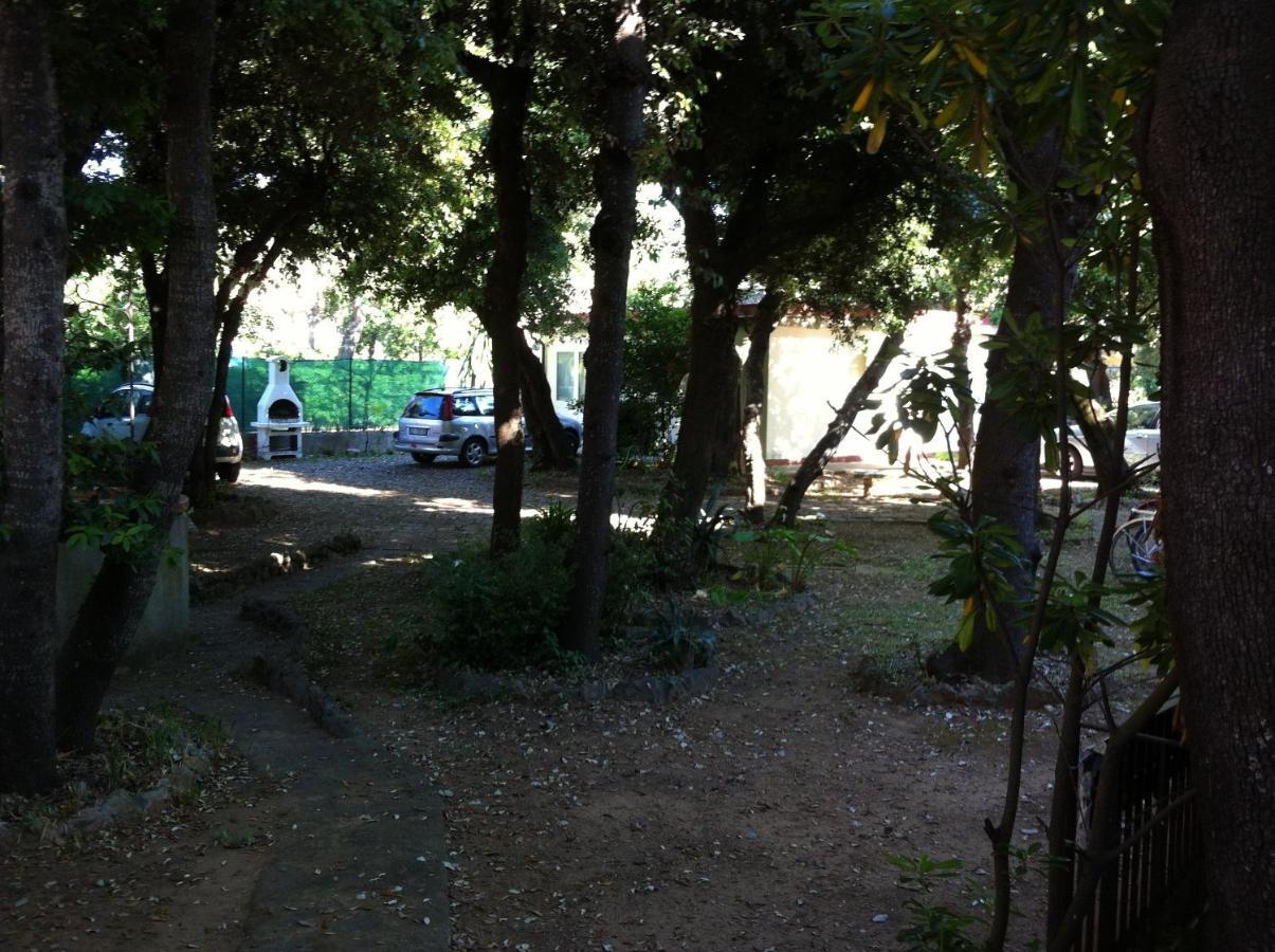 Giardino Sud - A Pochi Passi Dal Mare Apartment ซานวินเชนโซ ภายนอก รูปภาพ
