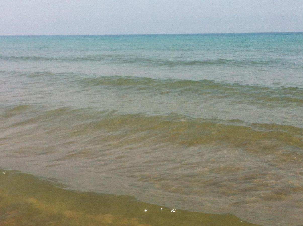 Giardino Sud - A Pochi Passi Dal Mare Apartment ซานวินเชนโซ ภายนอก รูปภาพ